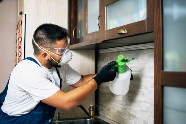 Best Best Pest Control Companies  in Willacoochee, GA