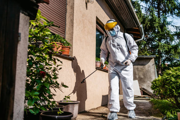 Best Emergency Pest Control  in Willacoochee, GA