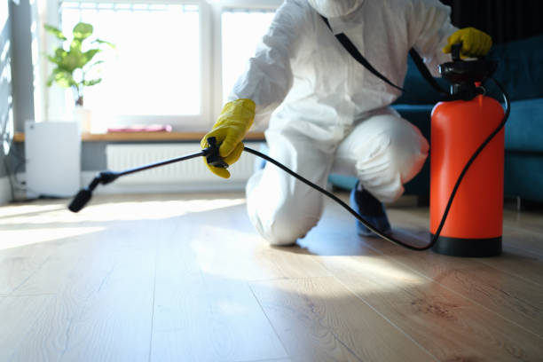 Wasp Removal Services in Willacoochee, GA