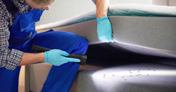 Best Pest Control Near Me  in Willacoochee, GA