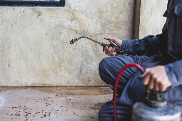Best Mosquito Control Services  in Willacoochee, GA