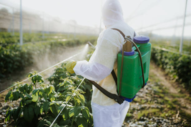 Best Wasp Removal Services  in Willacoochee, GA